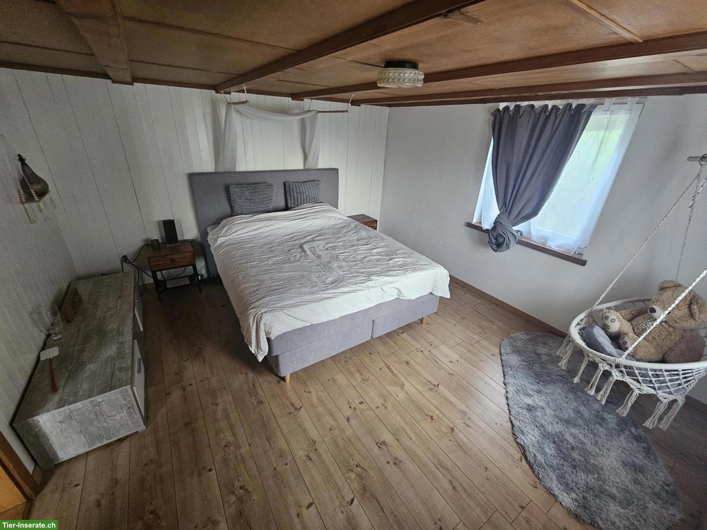 Bild 6: 3.5 Zimmer Wohnung - auch ein neues Zuhause mit Ihrem Pferd...