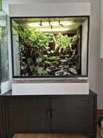 Tropenterrarium 70x80x50cm gratis abzugeben