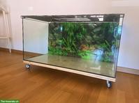 Nagerterrarium auf Rollen 100x50x50cm zu verkaufen