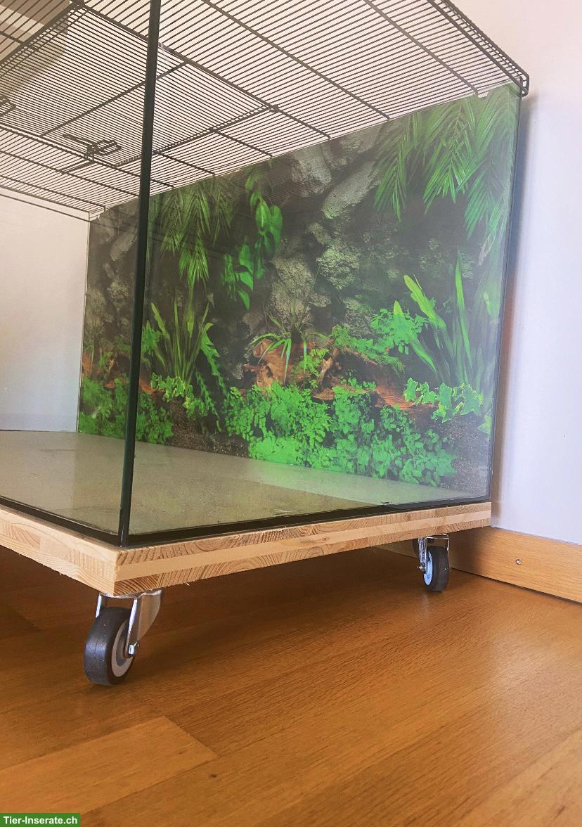 Bild 2: Nagerterrarium auf Rollen (100x50x50)