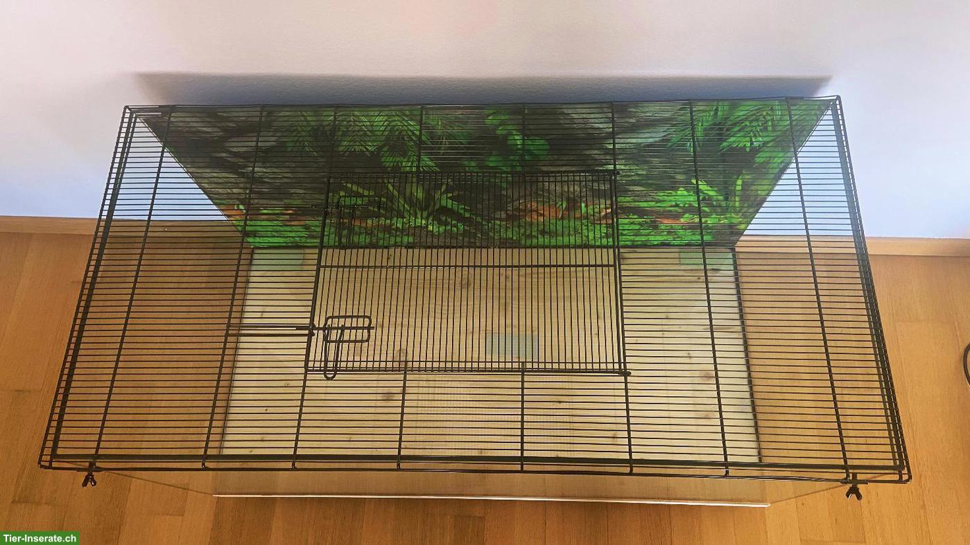 Bild 3: Nagerterrarium auf Rollen (100x50x50)