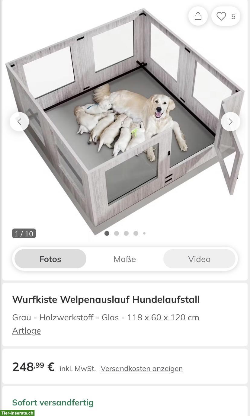 Bild 6: Hundehaus und Welpengehege