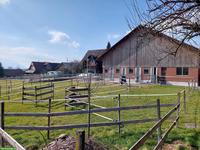 Auslaufbox zu vermieten in Cham ZG