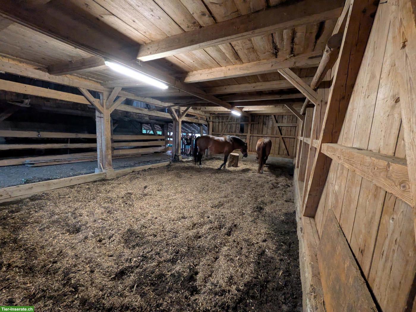 Bild 6: Freie Offenstallplätze in der Region Burgdorf