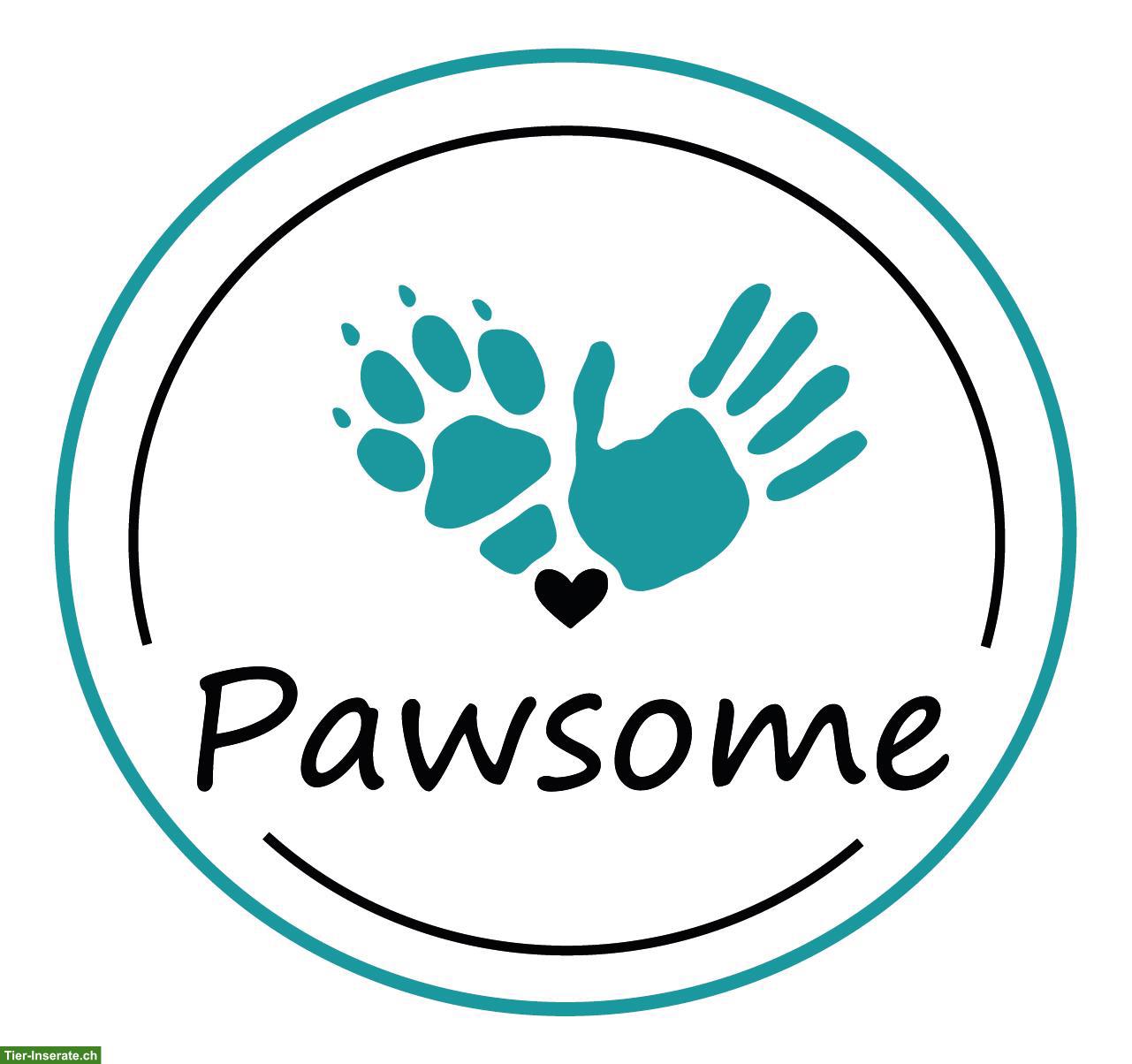 Bild 2: Pawsome Hundeschule Zug