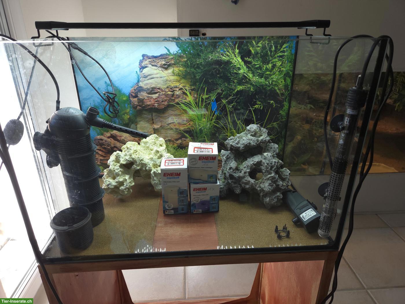 Bild 3: 80L Aquarium komplett mit Zubehör und Untergestell