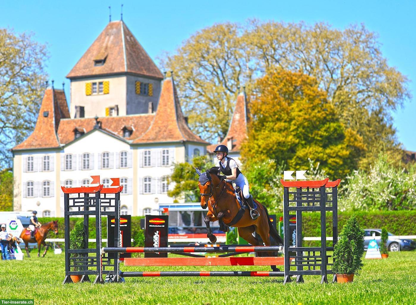 Biete Reitgelegenheit mit Spring-Turnierteilnahme