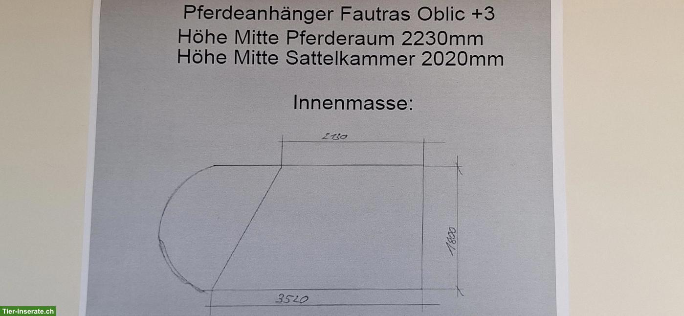 Bild 8: 2er Pferdeanhänger Fautras Oblic+3 Turnier