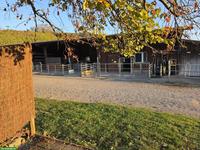 🐴 2 Grosszügige Auslaufboxen in Villigen AG, Top für Selbstversorger