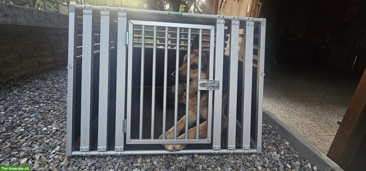 Neuwertige Meiko Hundeboxe zu verkaufen