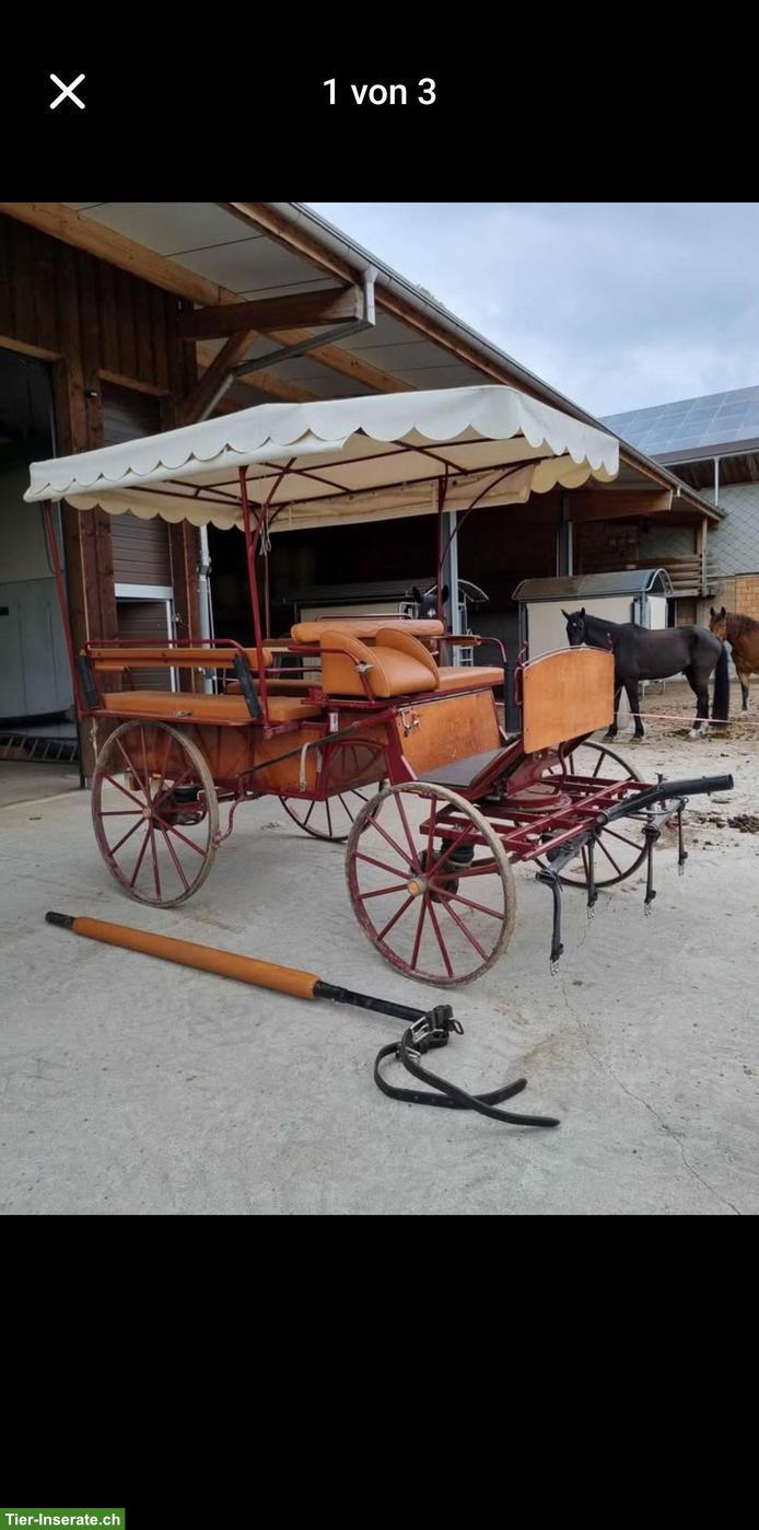 Bild 3: Sehr schöner Planenwagen zu verkaufen