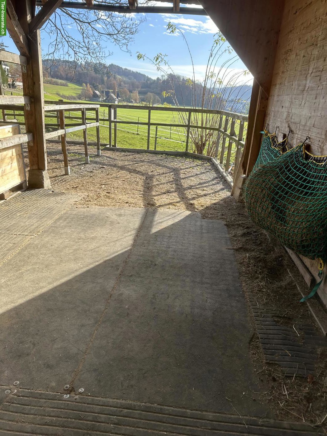 Selbstversorger Stall zu vermieten in Bolligen BE
