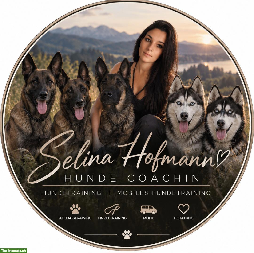 Mobiles Hundetraining & Alltagscoaching im Zürcher Oberland