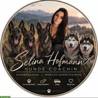 Mobiles Hundetraining & Alltagscoaching im Zürcher Oberland