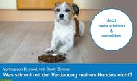 Vortrag: Was stimmt mit der Verdauung meines Hundes nicht?