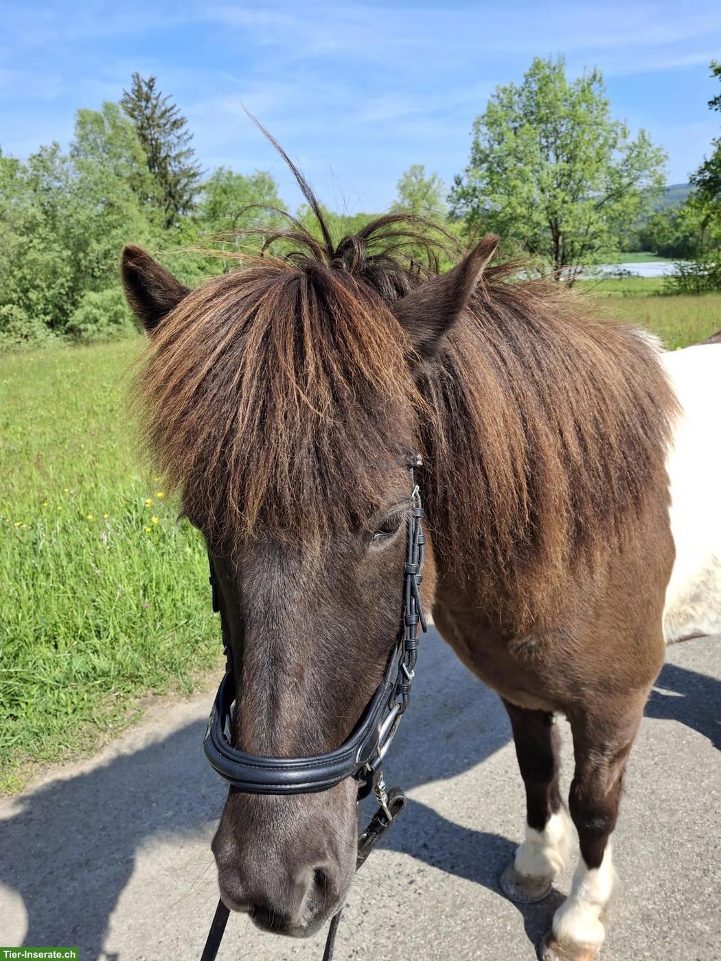 Ponyreiten/Reitpädagogik für sehbeeinträchtigte Kinder/Jugendliche