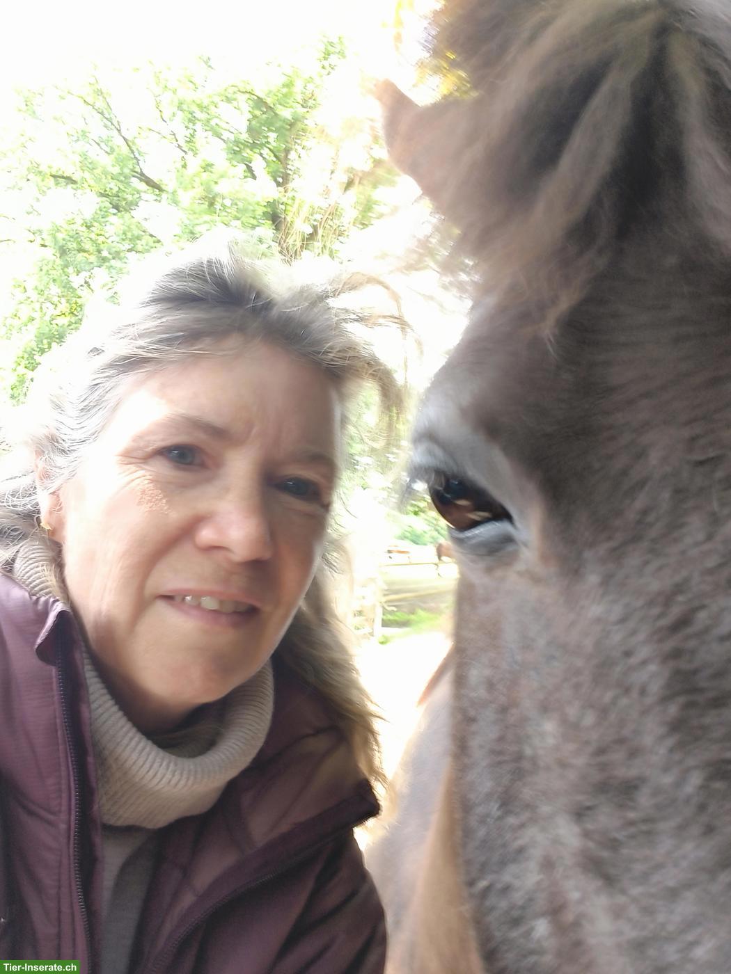 Bild 3: Ponyreiten/Reitpädagogik für sehbeeinträchtigte Kinder/Jugendliche