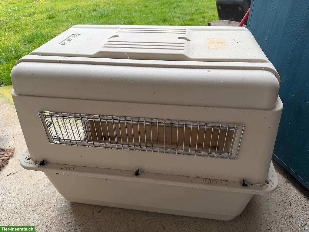 Bild 4: Hunde Transportbox Käfig für Hunde 1x grosse