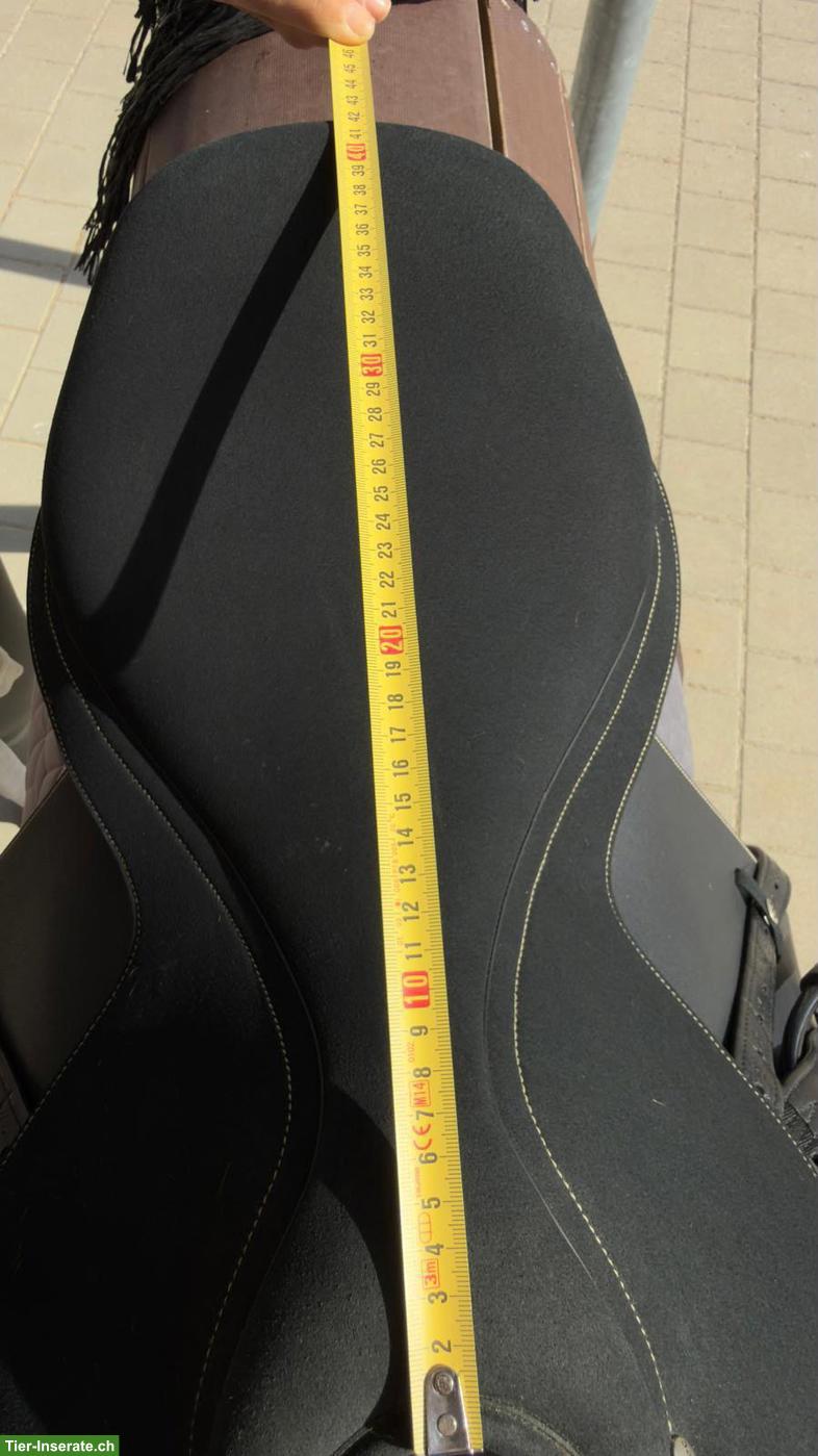 Bild 3: Wintec Pro Jump 17 Zoll zu verkaufen