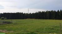 Platz in Offenstall (kleine Gruppe) nähe Westside