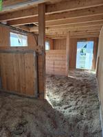 Gruppenstall mit Nachtboxen für Wallach in Elgg ZH