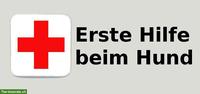Erste Hilfe Kurs für Hundehalter in Opfershofen TG