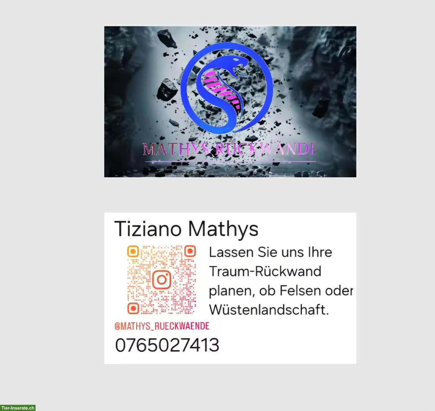 Bild 5: Terrarium nach Mass zu verkaufen