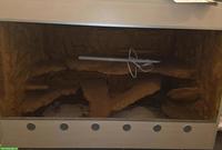 Terrarium mit Rückwand