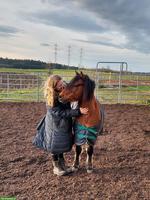 Tierbetreuung/Ferienbetreuung für Ihre Vierbeiner