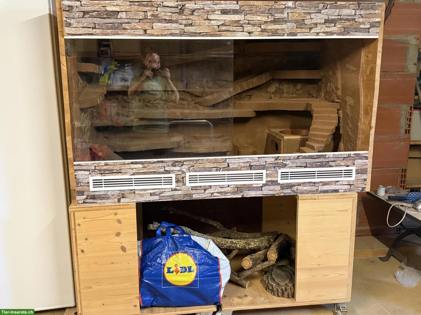 Bild 2: Holzterrarium mit aufwendiger Einrichtung zu verkaufen