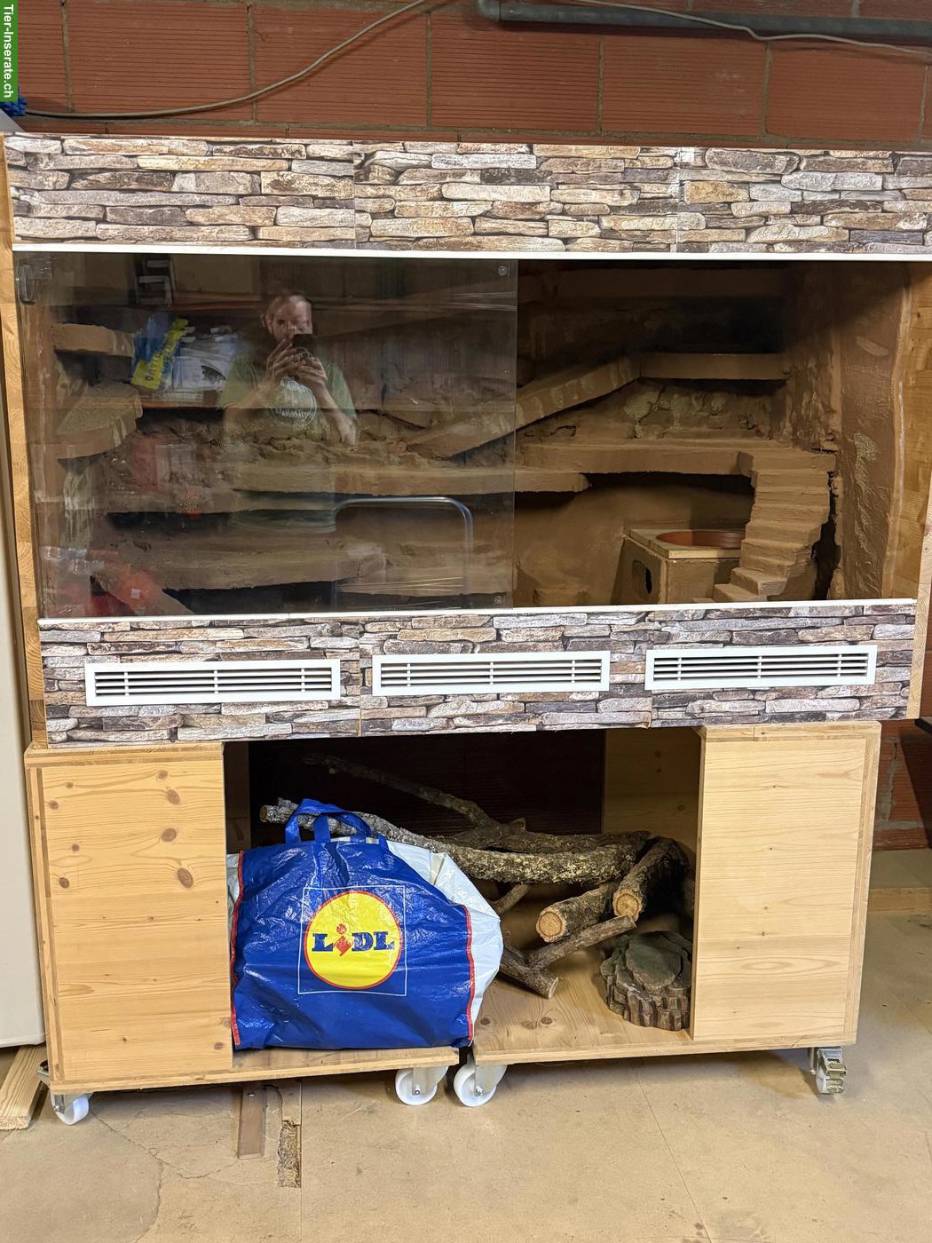 Bild 3: Holzterrarium mit aufwendiger Einrichtung zu verkaufen