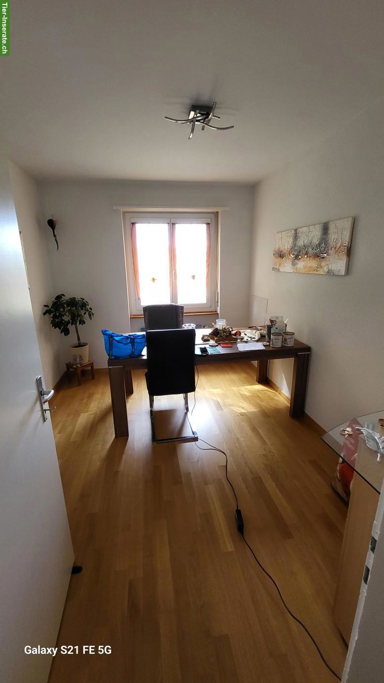 Bild 4: 3-Zimmer-Wohnung, Hunde und Katzen erlaubt