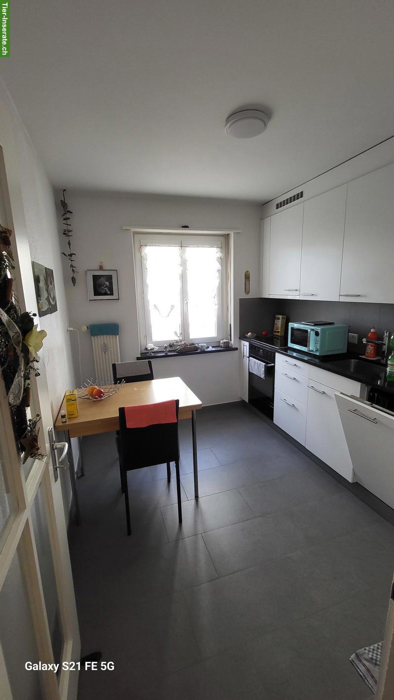 Bild 6: 3-Zimmer-Wohnung, Hunde und Katzen erlaubt