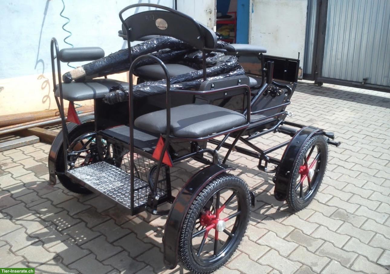 Shetty Kutsche / Wagonette Kami zu verkaufen