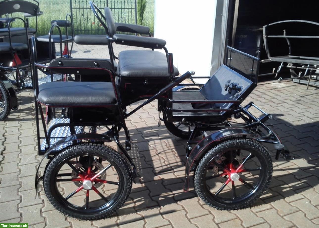 Bild 3: Shetty Kutsche / Wagonette Kami zu verkaufen