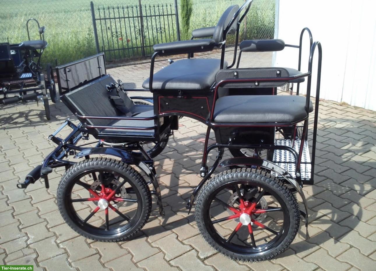 Bild 4: Shetty Kutsche / Wagonette Kami zu verkaufen