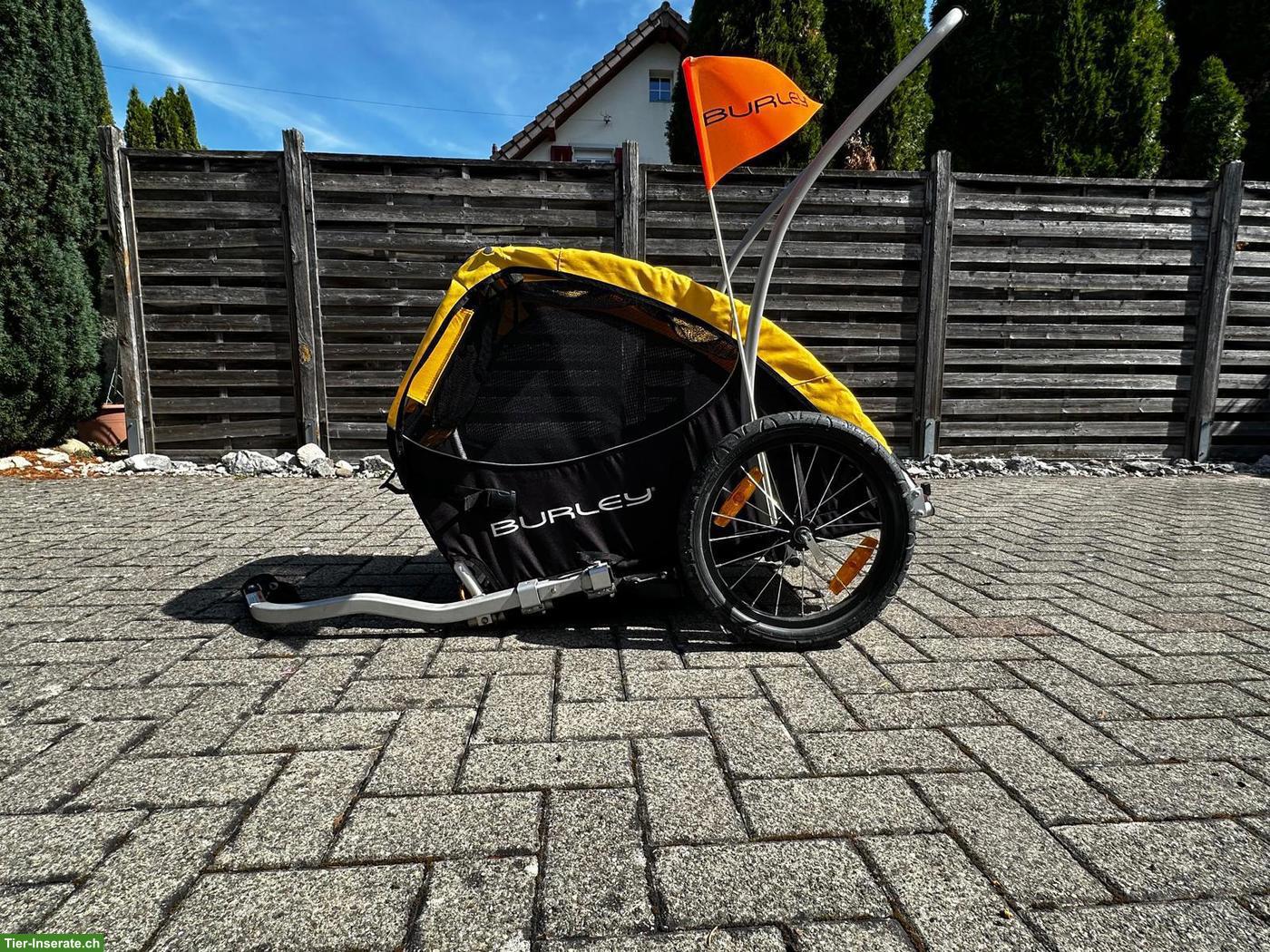 Velo Hundeanhänger Tail Wagon Burley