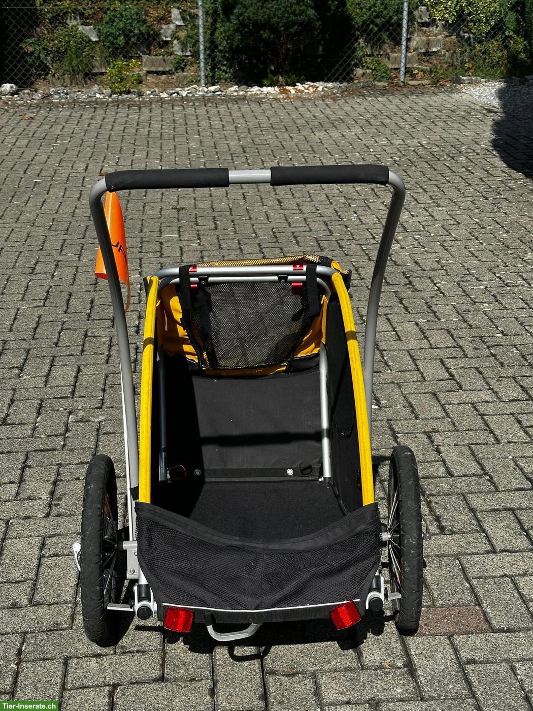 Bild 3: Velo Hundeanhänger Tail Wagon Burley
