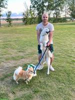 Hunde- & Ferienbetreuung in 8824 Schönenberg ZH