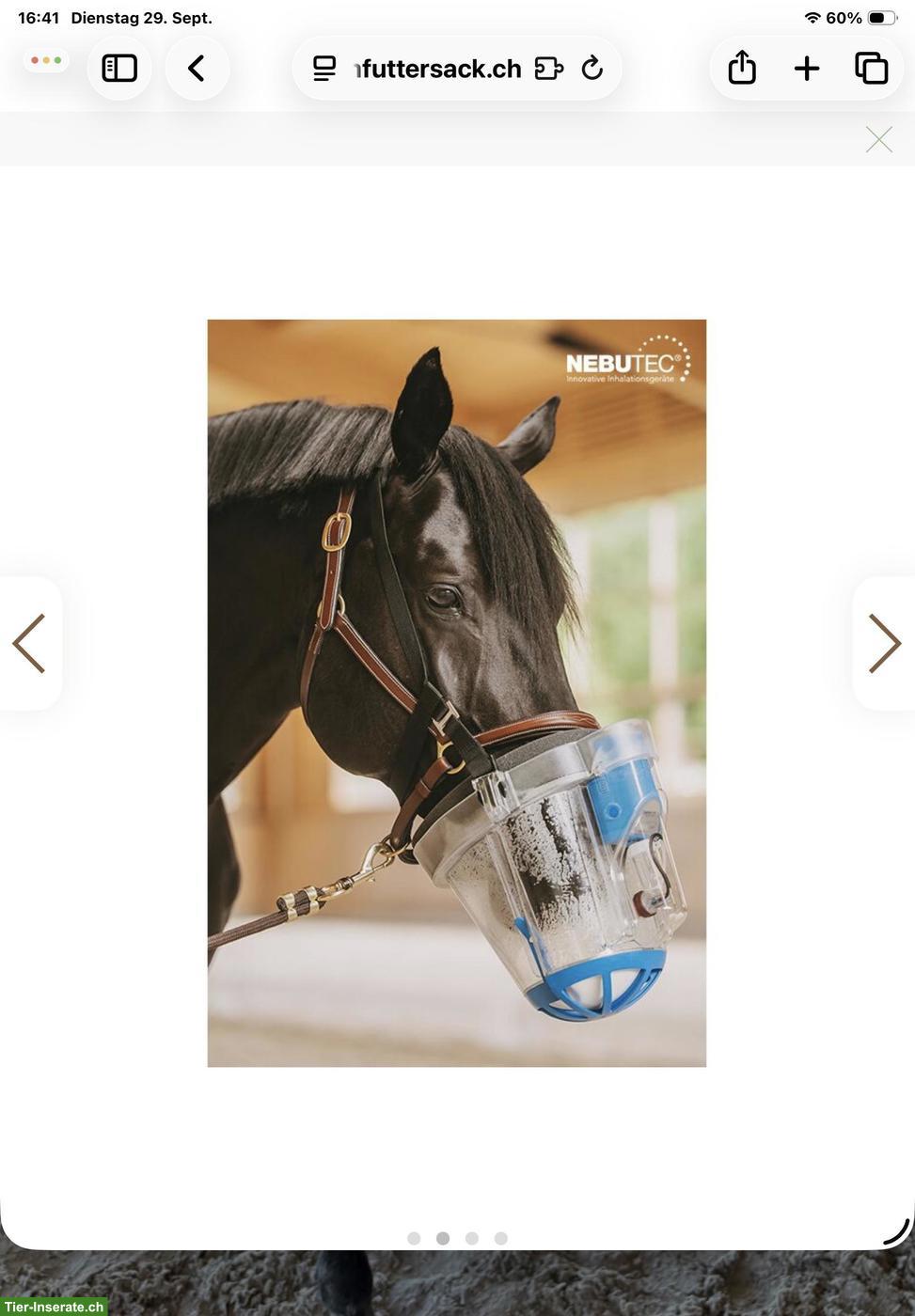Bild 2: SaHoMa-II Inhalator zu verkaufen