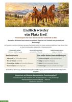 Pferdepensionsplatz frei für Stute in Birr AG 🐴