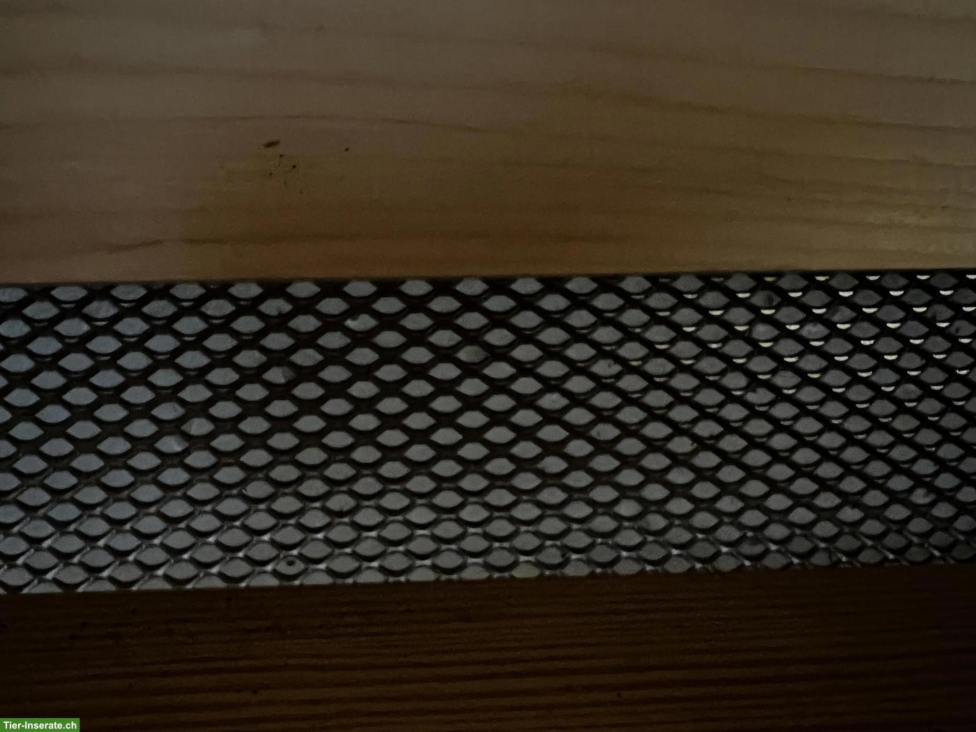 Bild 2: Sattelschrank zu verkaufen
