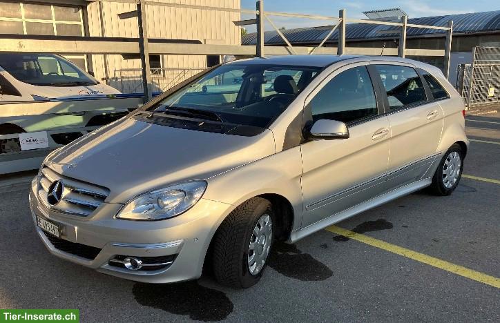 Mercedes-Benz B-180 Autotronic Kompaktwagen, mit Hundebox Gilgen