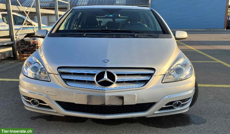 Bild 3: Mercedes-Benz B-180 Autotronic Kompaktwagen, mit Hundebox Gilgen