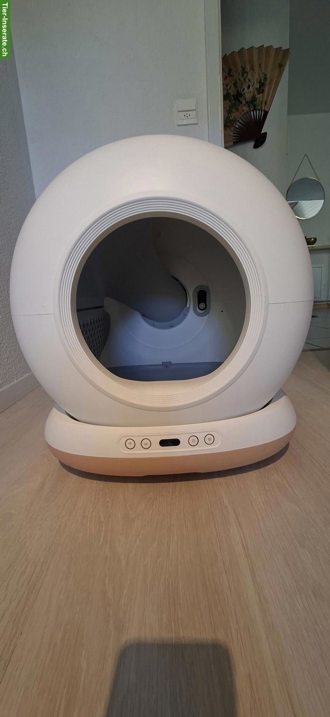 Selbstreinigende Katzentoilette zu verkaufen