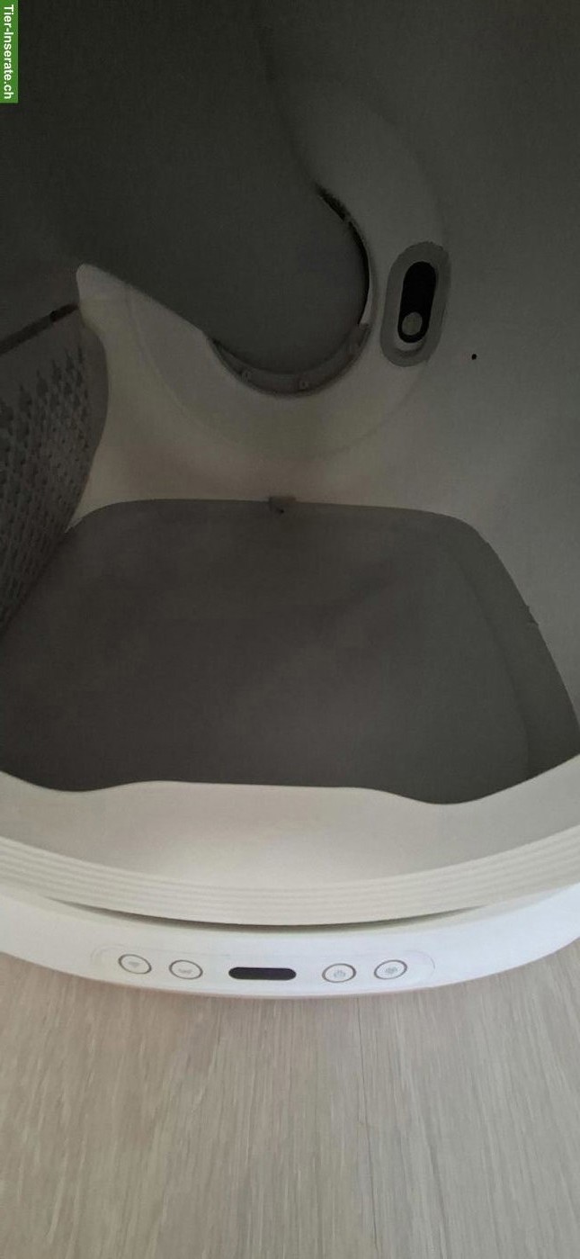 Bild 2: Selbstreinigende Katzentoilette zu verkaufen