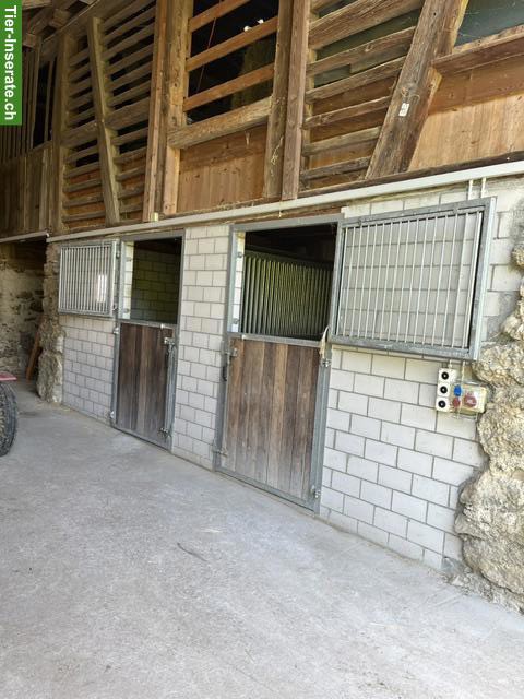Pferde Auslaufboxen Selbstversorger in Reichenburg SZ
