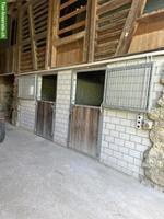 Pferde Auslaufboxen Selbstversorger in Reichenburg SZ
