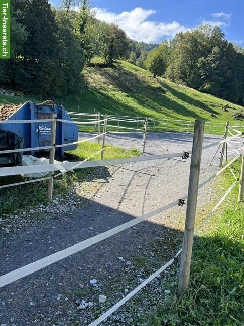Bild 2: Pferde Auslaufboxen Selbstversorger in Reichenburg SZ