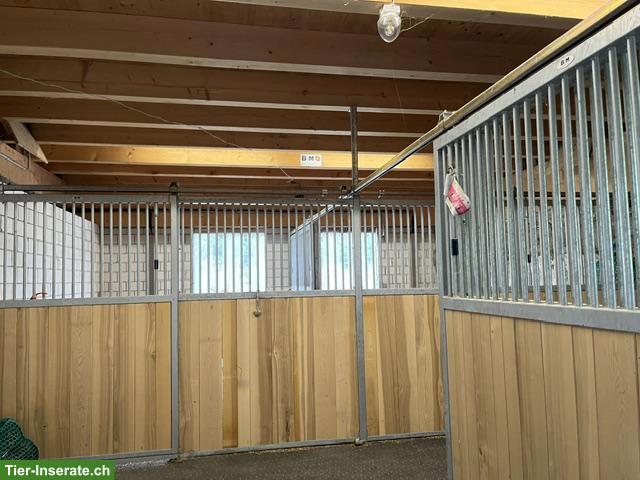 Bild 3: Pferde Auslaufboxen Selbstversorger in Reichenburg SZ